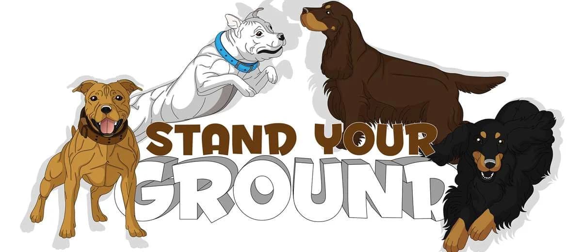 Stand Your Ground