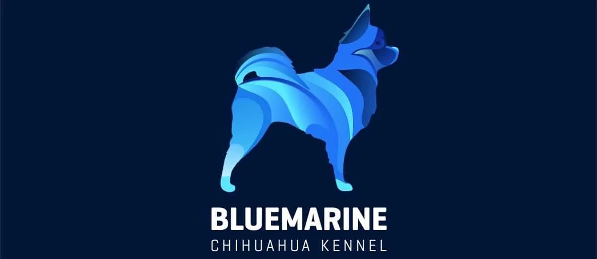 Bluemarinefamily