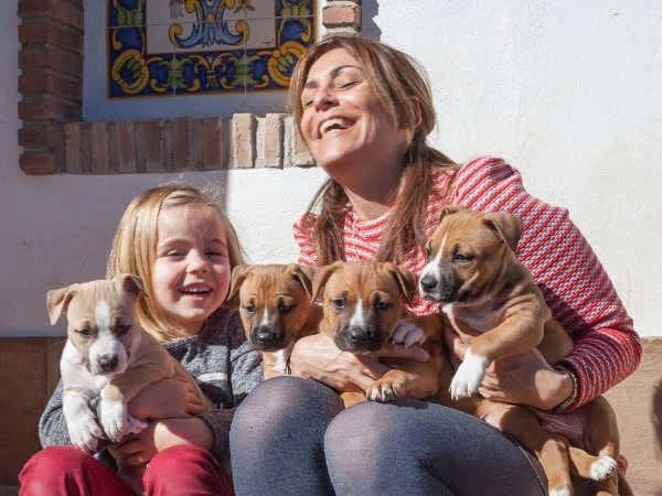 Pups van Sindy