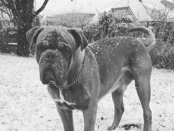 Frits