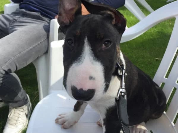 Jax