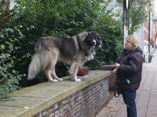 athos