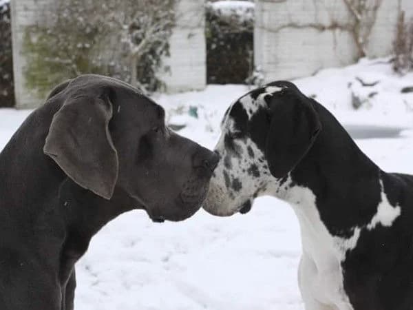 Eva & Diego