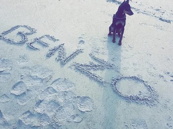 Benzo