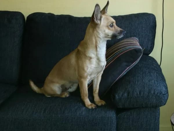 Zoë