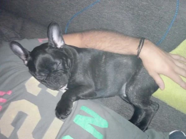 Cooper