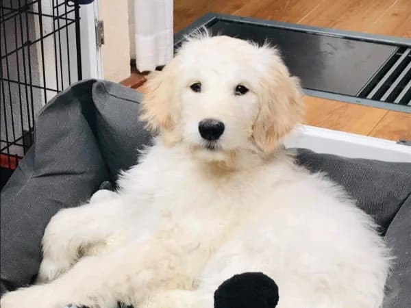 Max