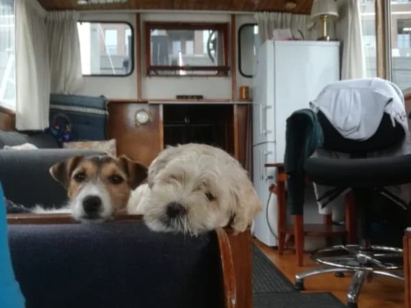 Laika en Boyke