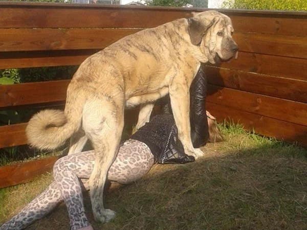 maylo