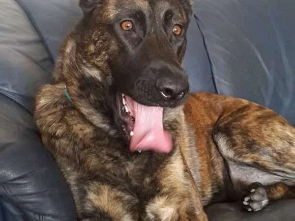 Kayra