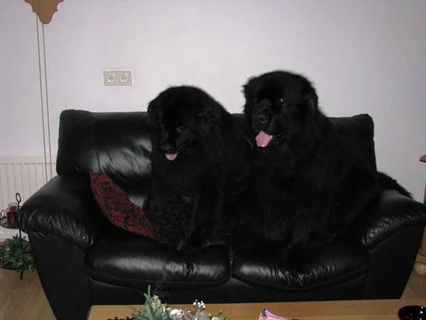 Bianca en Loes