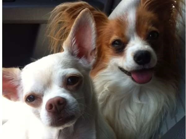 GiGi & Sunny