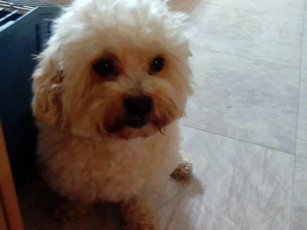 billy