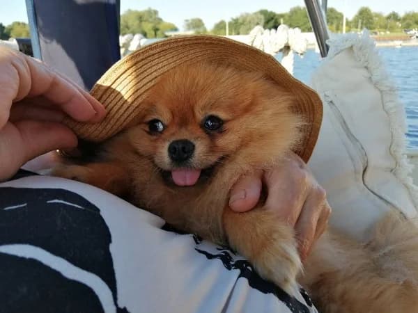 Coco
