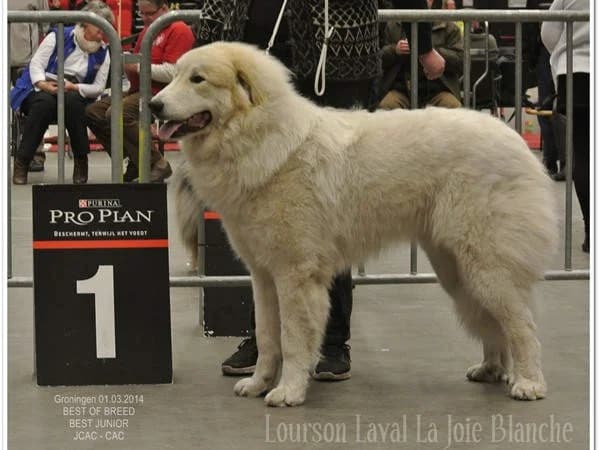 LOURSON LAVAL LA JOIE BLANCHE