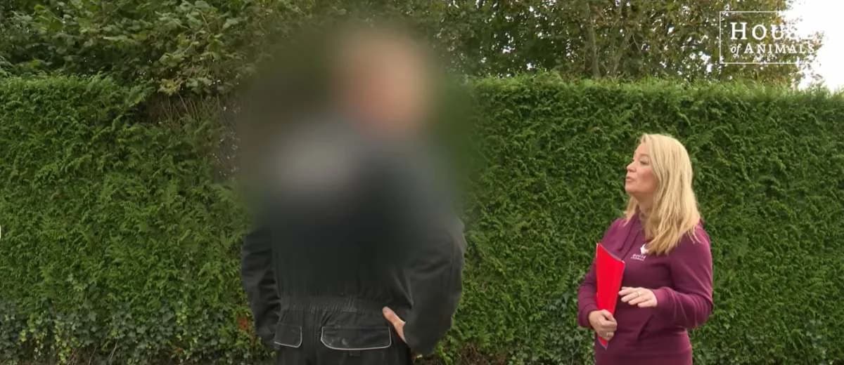 Handhaving tegen omstreden fokker in Chaam gestart
