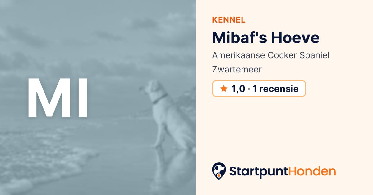 Mibaf's Hoeve: fokker van de Amerikaanse Cocker Spaniel