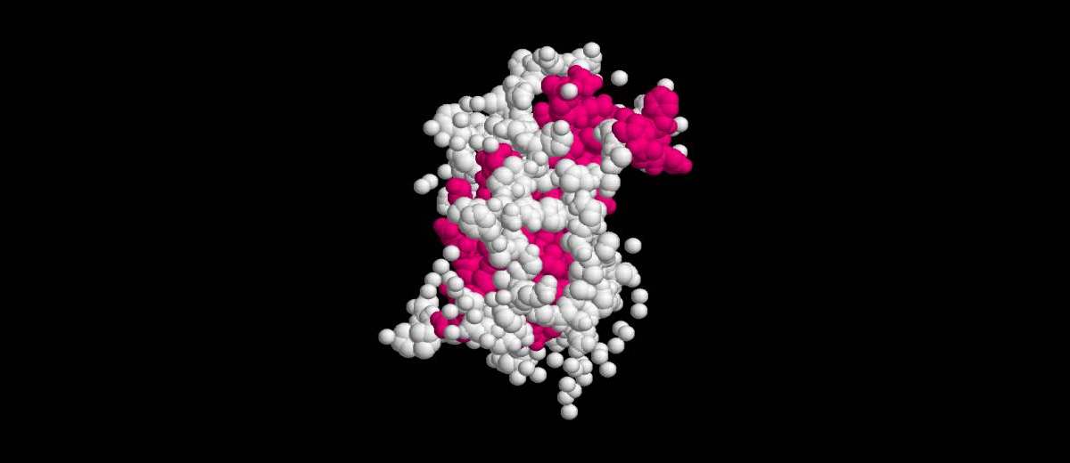 Hypofysaire dwerggroei