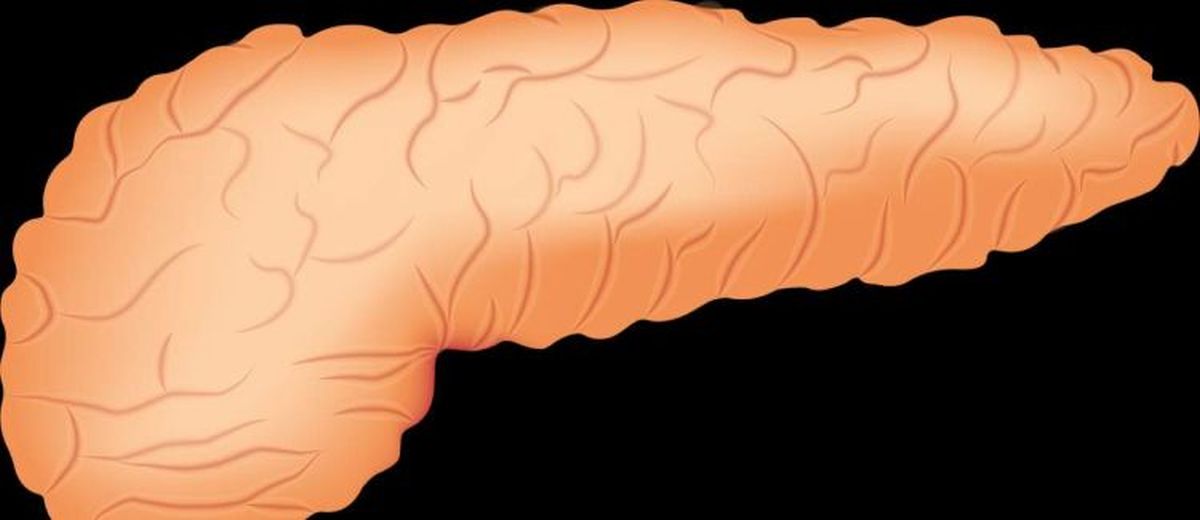 Exocriene Pancreas Insufficiëntie