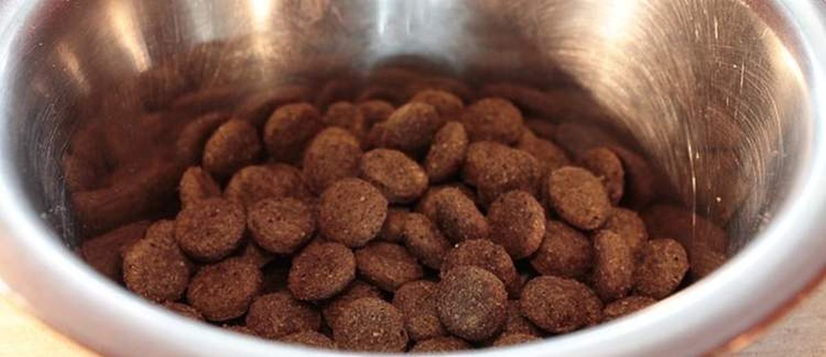Voedingsallergie