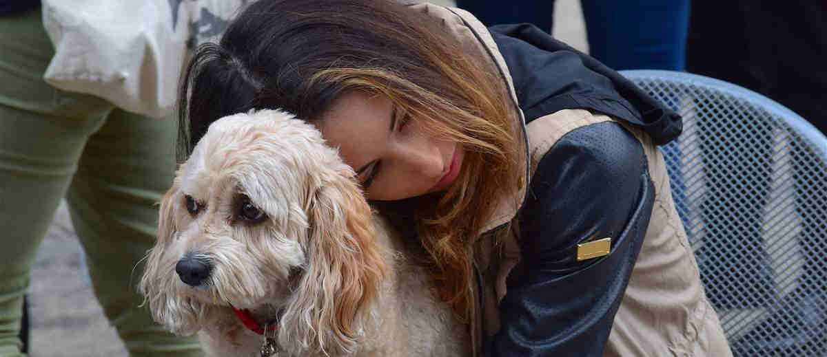 Wat wij doen wat honden helemaal niet leuk vinden