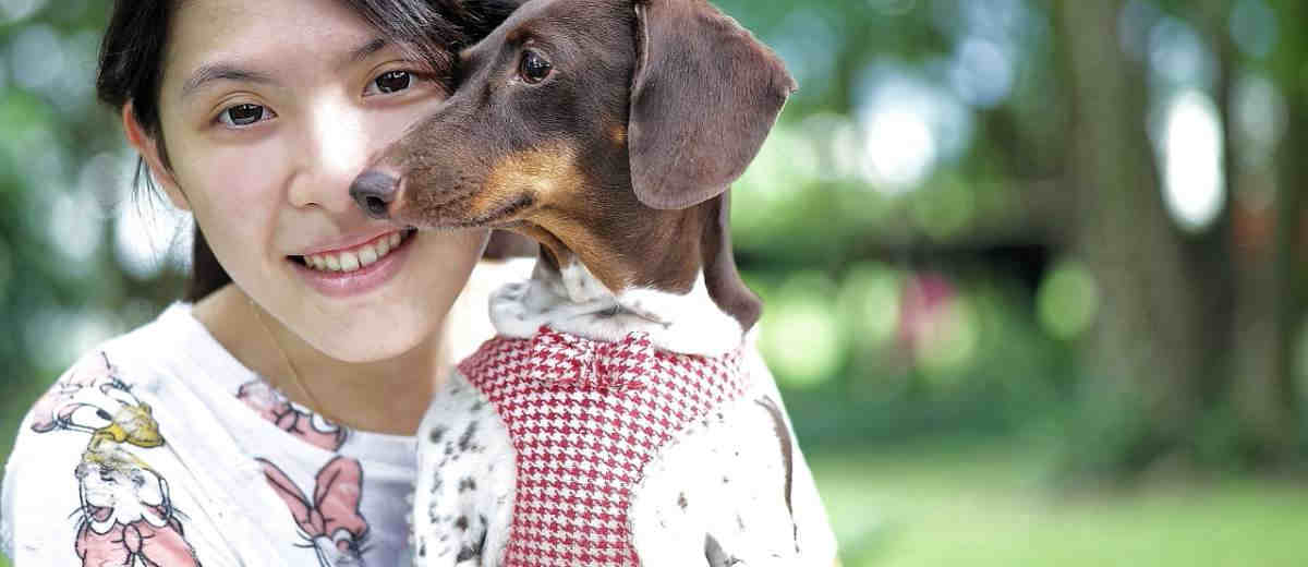 Stop met het aankleden van je hond