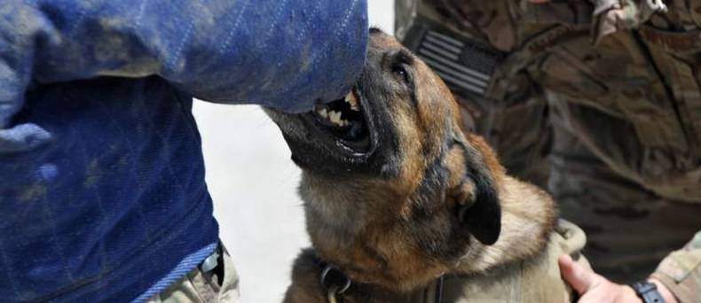 Wat is een MAG test?