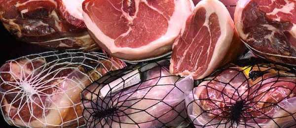 Rauw versus brok versus vers hondenvoer, wat het bewijs zegt